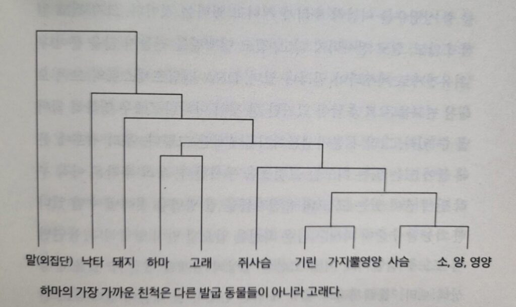 하마와 고래가 친적이라는 것을 알려주는 유전자 서열분석